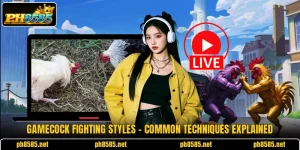 Gamecock Fighting Styles - Common Techniques Explained