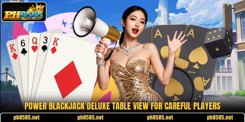 Power Blackjack Deluxe table view for careful players Power Blackjack Deluxe table view for careful players