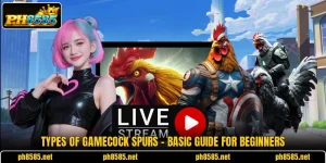 Types Of Gamecock Spurs - Basic Guide For Beginners